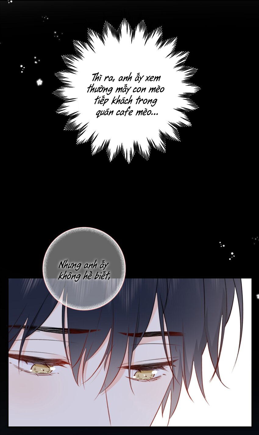 Dinh Dưỡng Quá Tốt Chapter 22 - Next Chapter 23