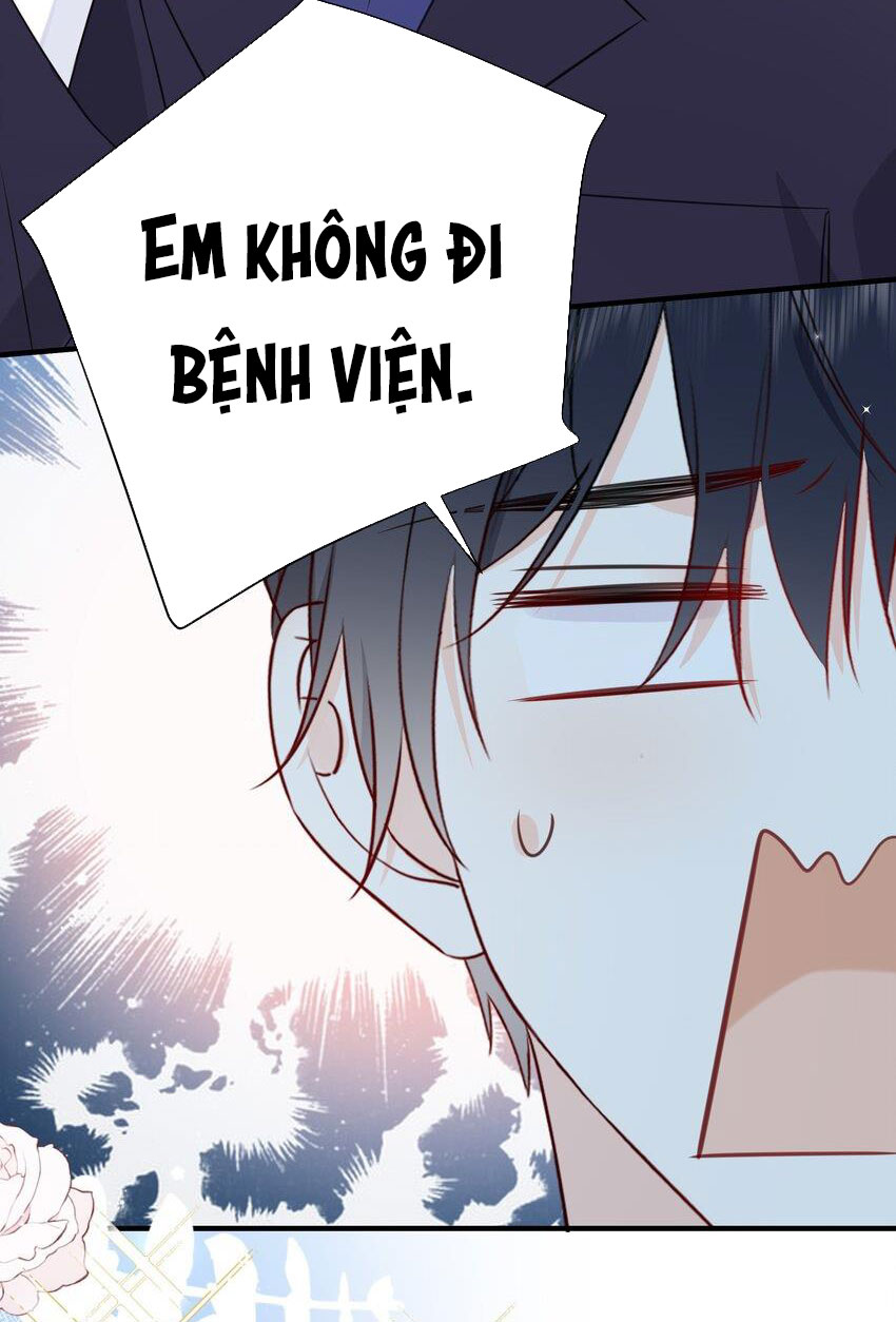Dinh Dưỡng Quá Tốt Chapter 24 - Next Chapter 25