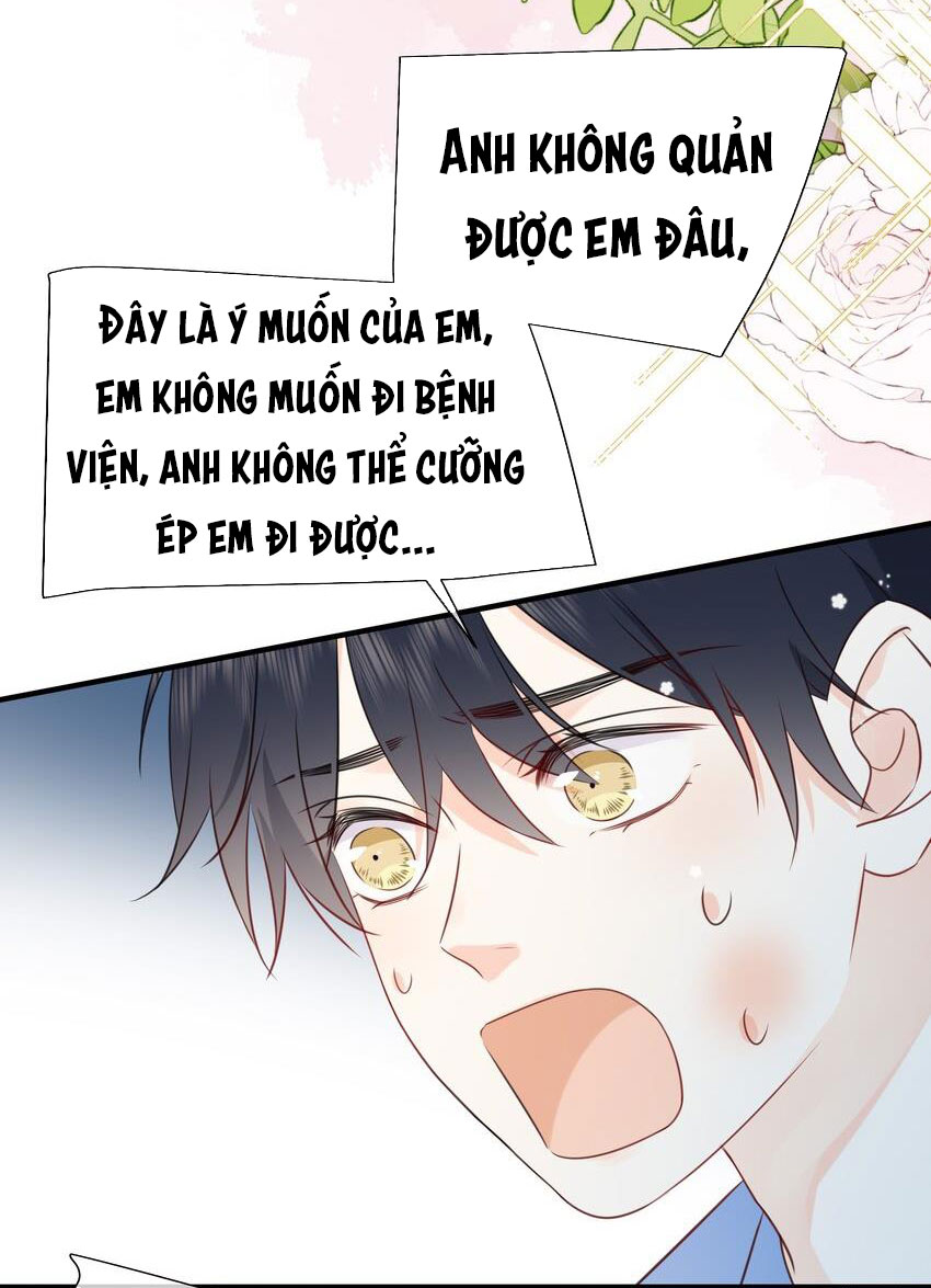 Dinh Dưỡng Quá Tốt Chapter 24 - Next Chapter 25