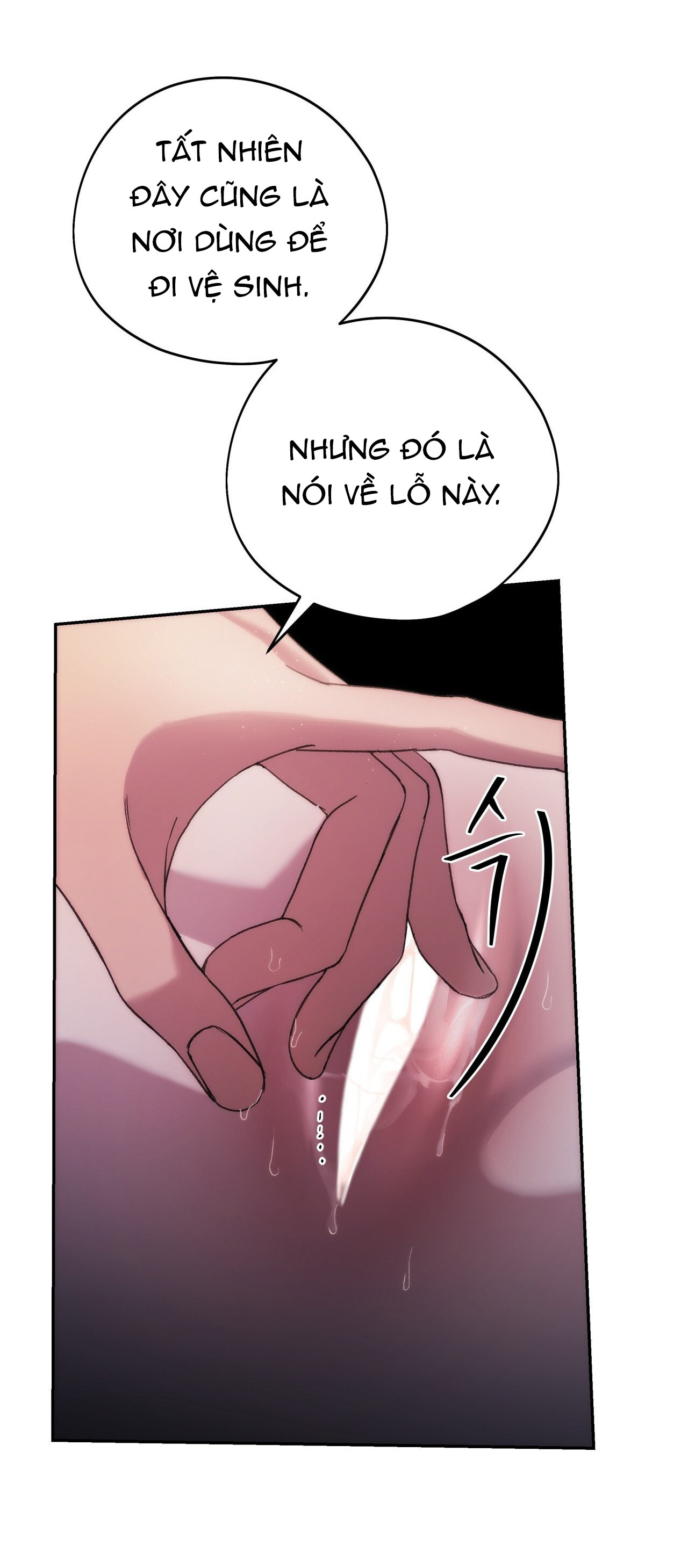 [18+] tôi đã kết hôn với em gái của vợ Chương 10 - Next Chapter 10.1