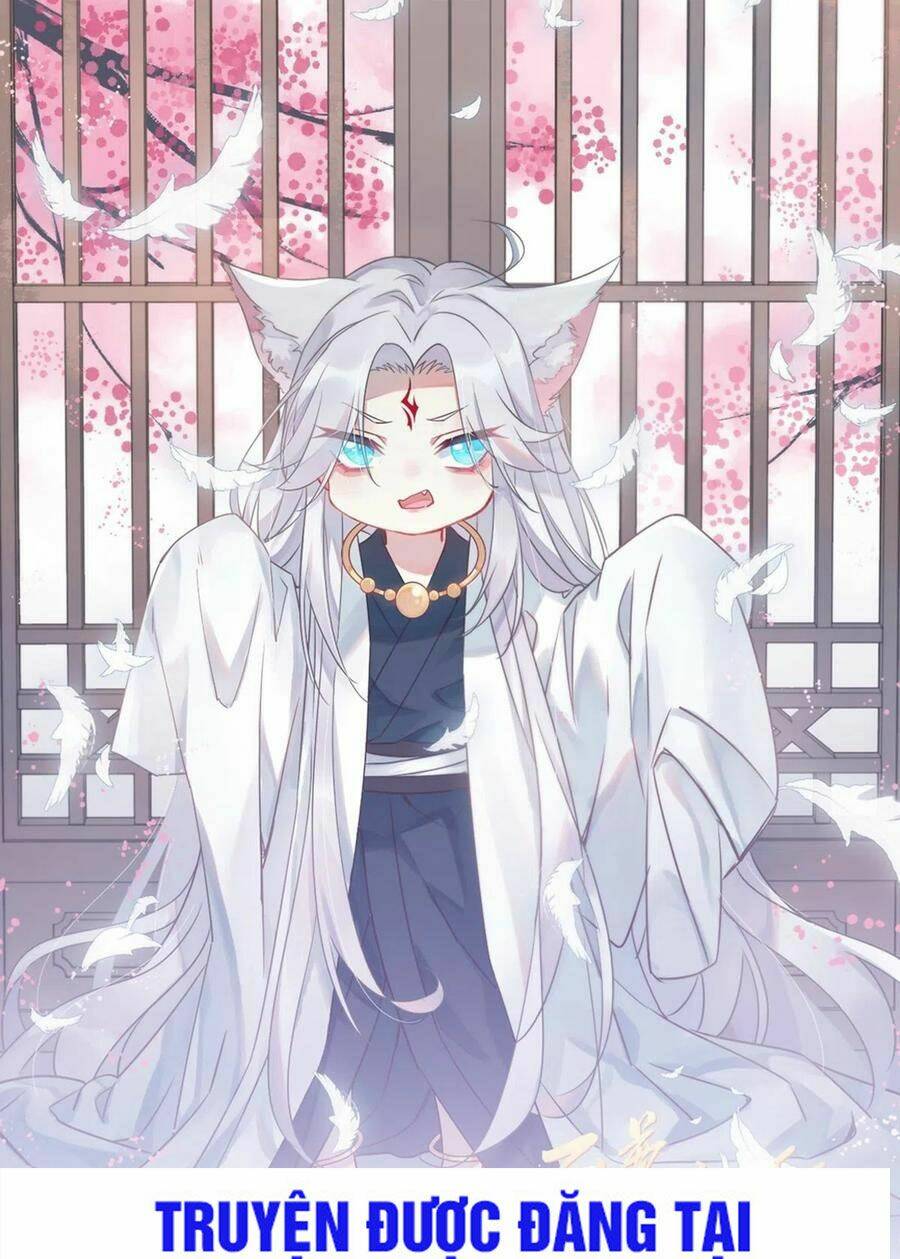 Chi Tôn Đồng Thuật Sư: Tuyệt Thế Đại Tiểu Thư Chapter 198 - Trang 4
