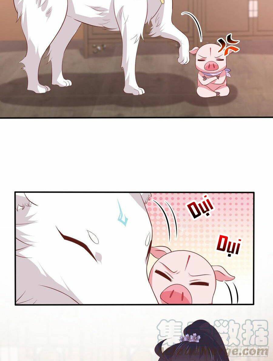 Chi Tôn Đồng Thuật Sư: Tuyệt Thế Đại Tiểu Thư Chapter 220 - Trang 4