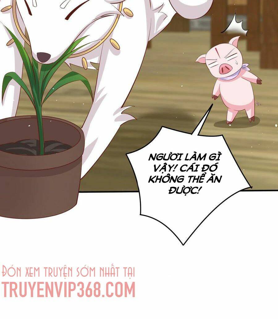 Chi Tôn Đồng Thuật Sư: Tuyệt Thế Đại Tiểu Thư Chapter 229 - Trang 4