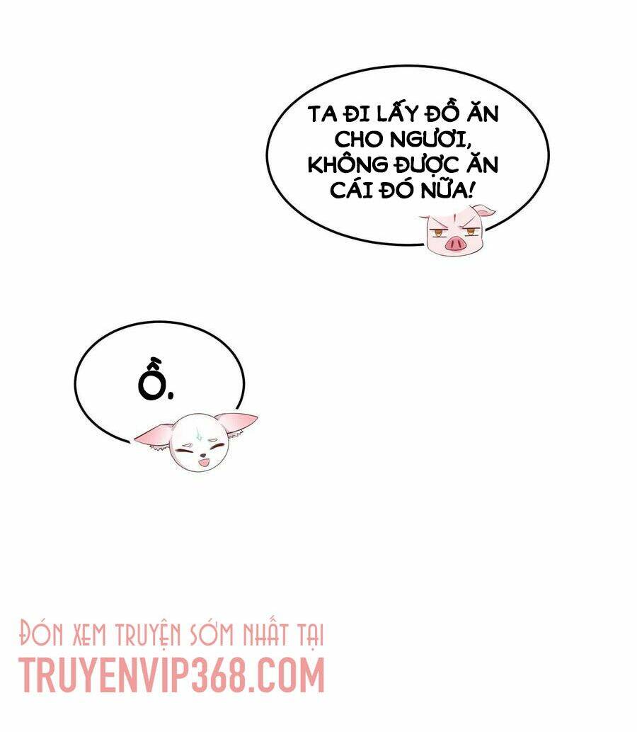 Chi Tôn Đồng Thuật Sư: Tuyệt Thế Đại Tiểu Thư Chapter 229 - Trang 4