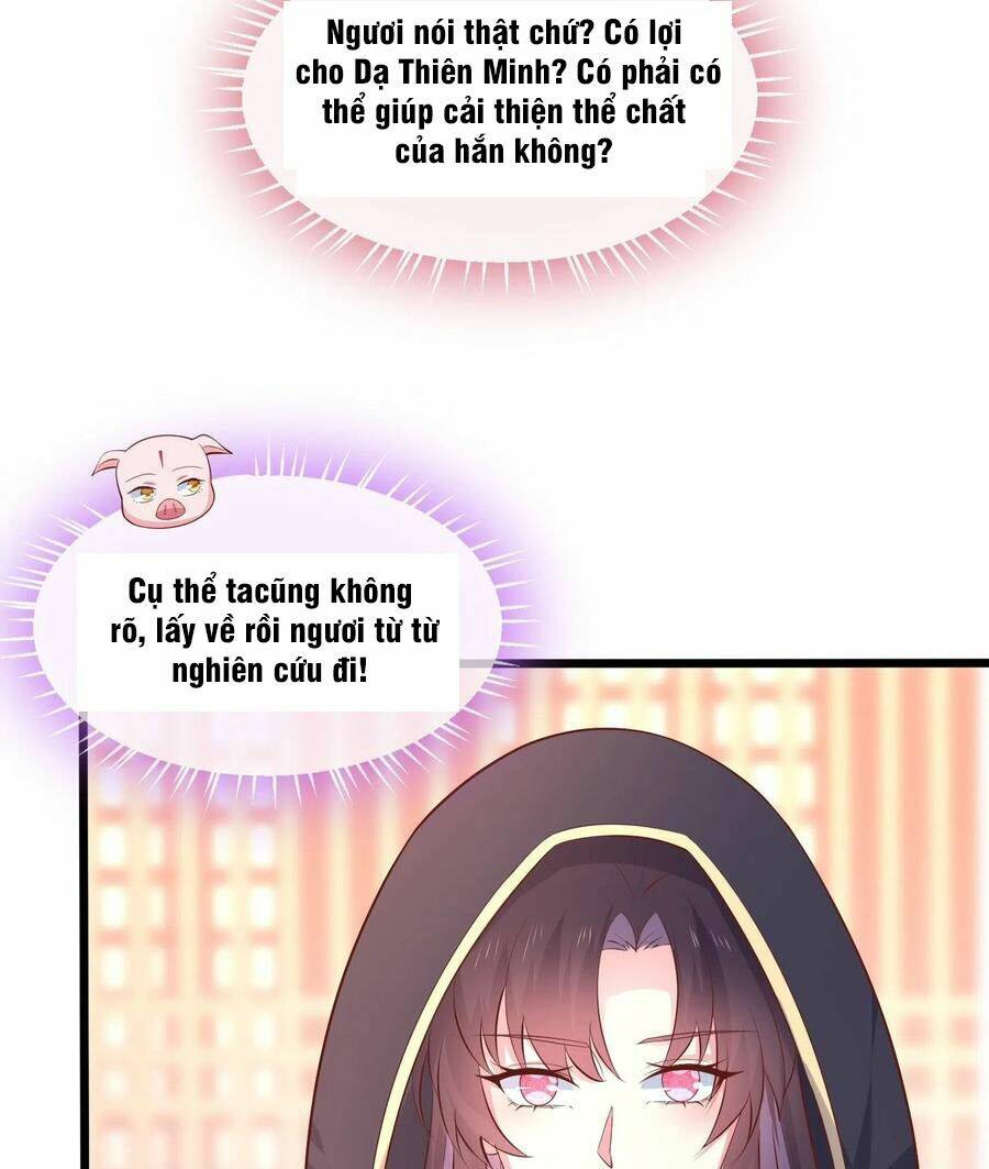Chi Tôn Đồng Thuật Sư: Tuyệt Thế Đại Tiểu Thư Chapter 231 - Trang 4