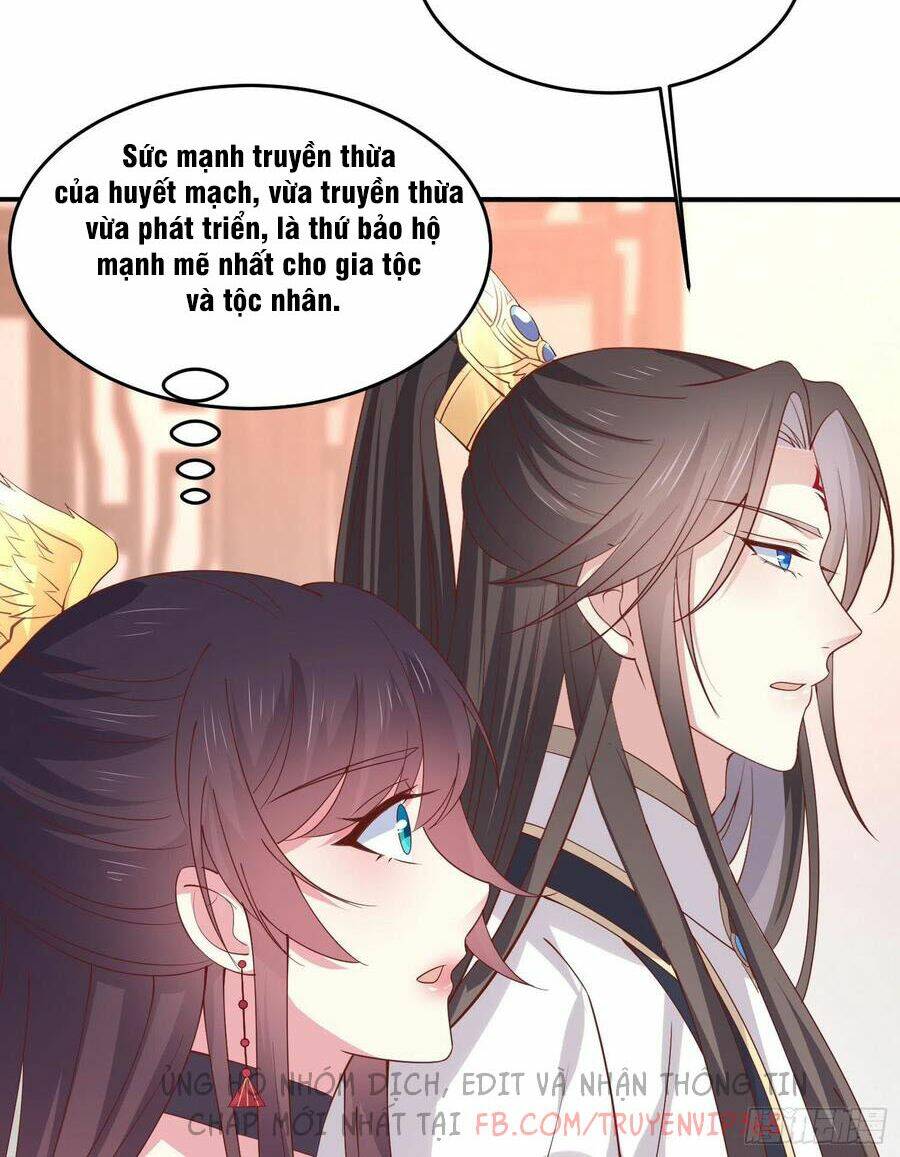 Chi Tôn Đồng Thuật Sư: Tuyệt Thế Đại Tiểu Thư Chapter 241 - Trang 4
