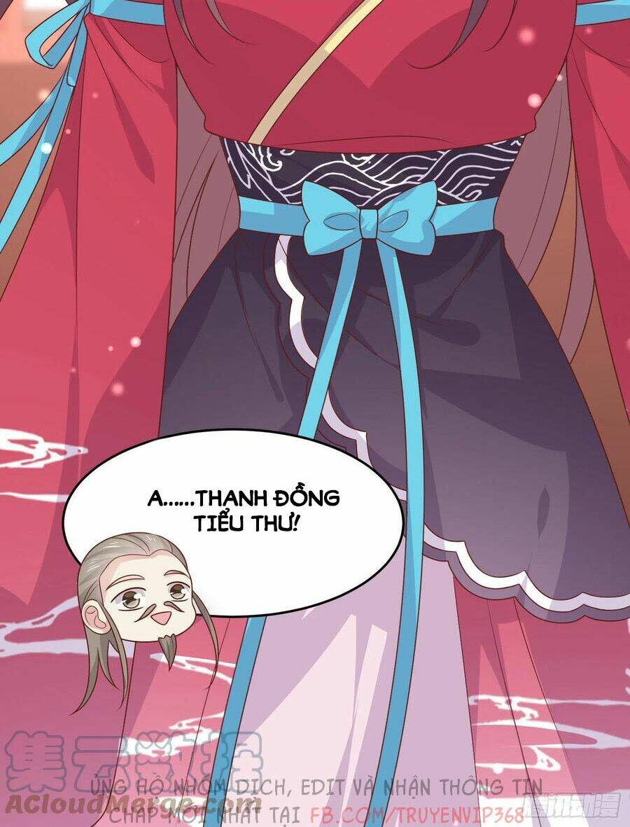 Chi Tôn Đồng Thuật Sư: Tuyệt Thế Đại Tiểu Thư Chapter 256 - Trang 4