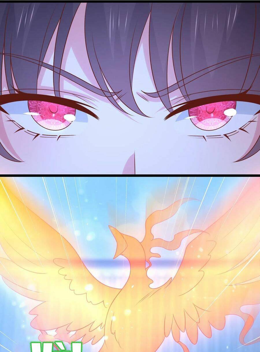 Chi Tôn Đồng Thuật Sư: Tuyệt Thế Đại Tiểu Thư Chapter 257 - Trang 4