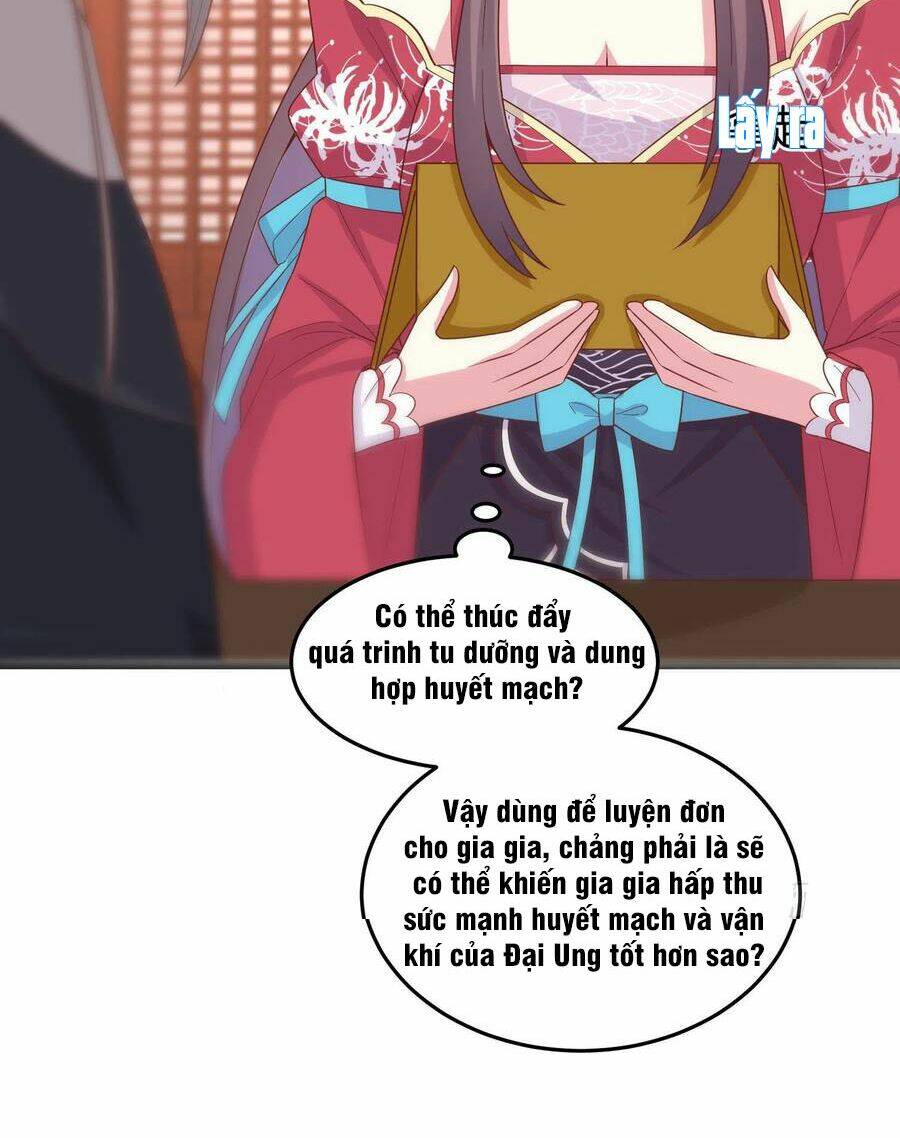Chi Tôn Đồng Thuật Sư: Tuyệt Thế Đại Tiểu Thư Chapter 259 - Trang 4