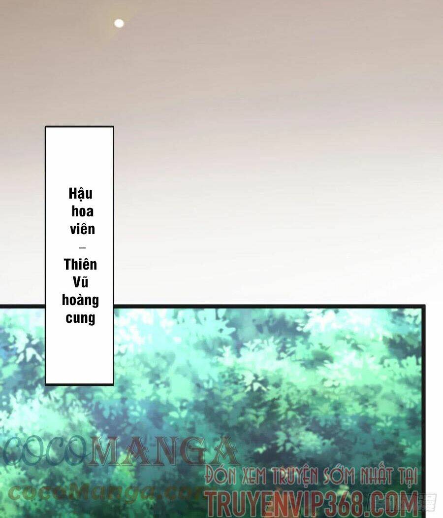 Chi Tôn Đồng Thuật Sư: Tuyệt Thế Đại Tiểu Thư Chapter 259 - Trang 4
