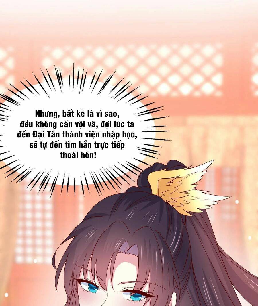 Chi Tôn Đồng Thuật Sư: Tuyệt Thế Đại Tiểu Thư Chapter 264 - Trang 4