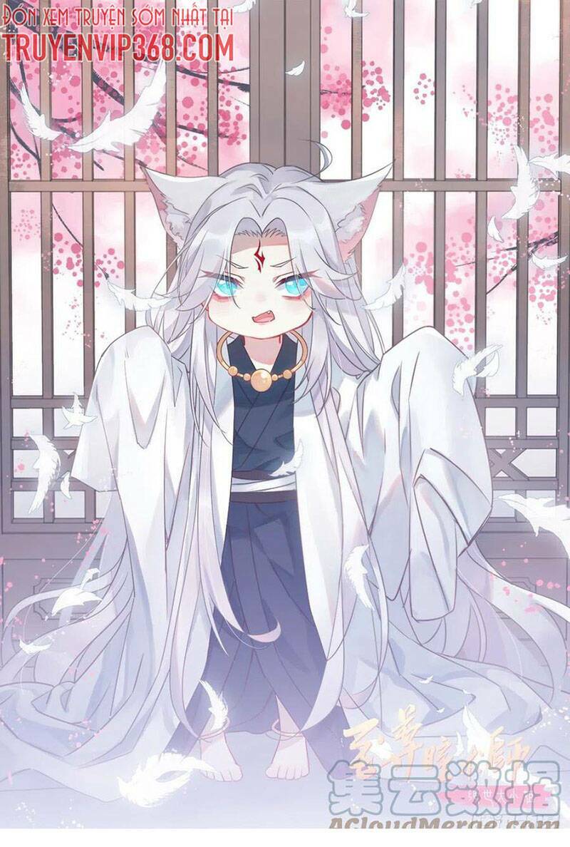 Chi Tôn Đồng Thuật Sư: Tuyệt Thế Đại Tiểu Thư Chapter 283 - Trang 4