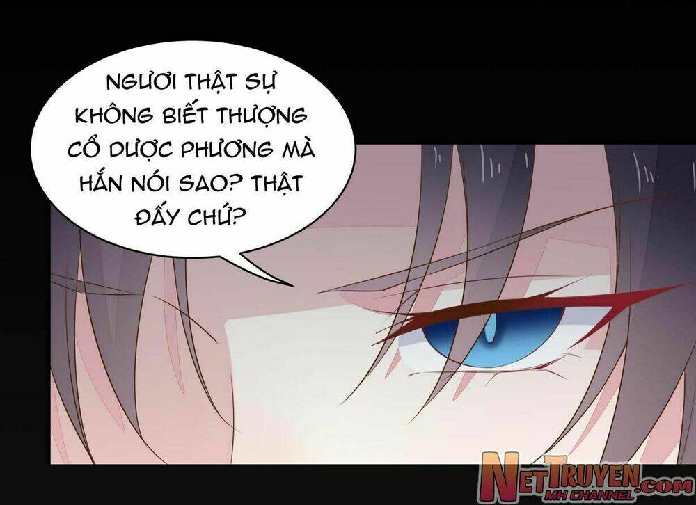 Chi Tôn Đồng Thuật Sư: Tuyệt Thế Đại Tiểu Thư Chapter 56 - Next Chapter 57