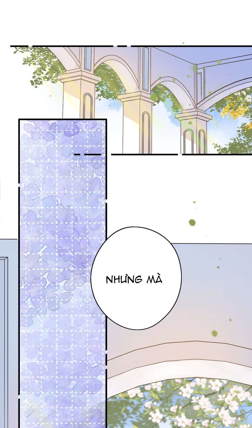 Ánh Sao Phiêu Linh Trong Nước Chap 71 - Trang 4