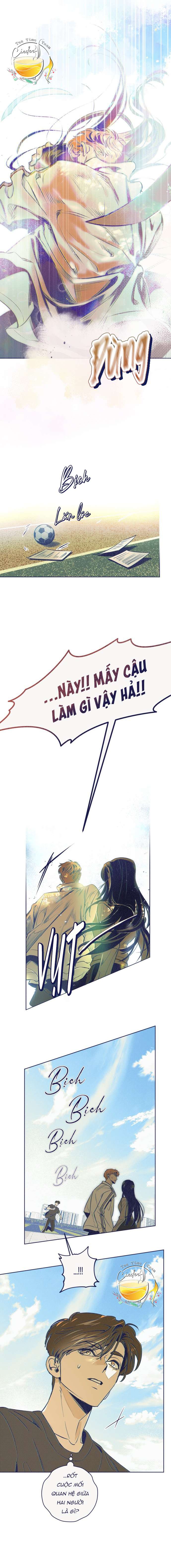 Trắc Nghiệm Bốn Lựa Chọn Chap 5 - Trang 2