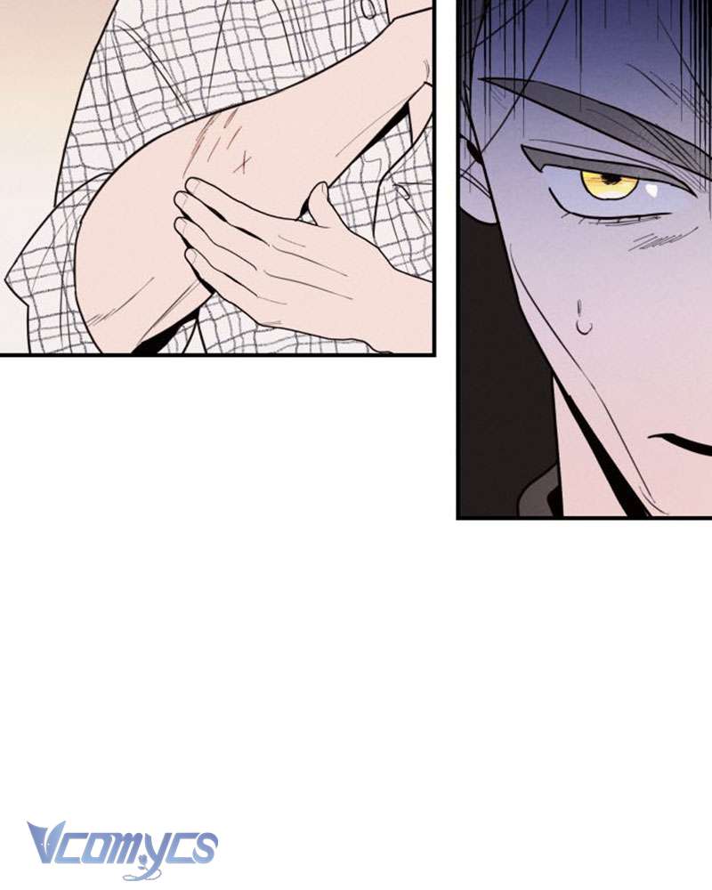 Tối Nay Tôi Là Người Được Cô Ấy Chọn Chap 1 - Trang 3