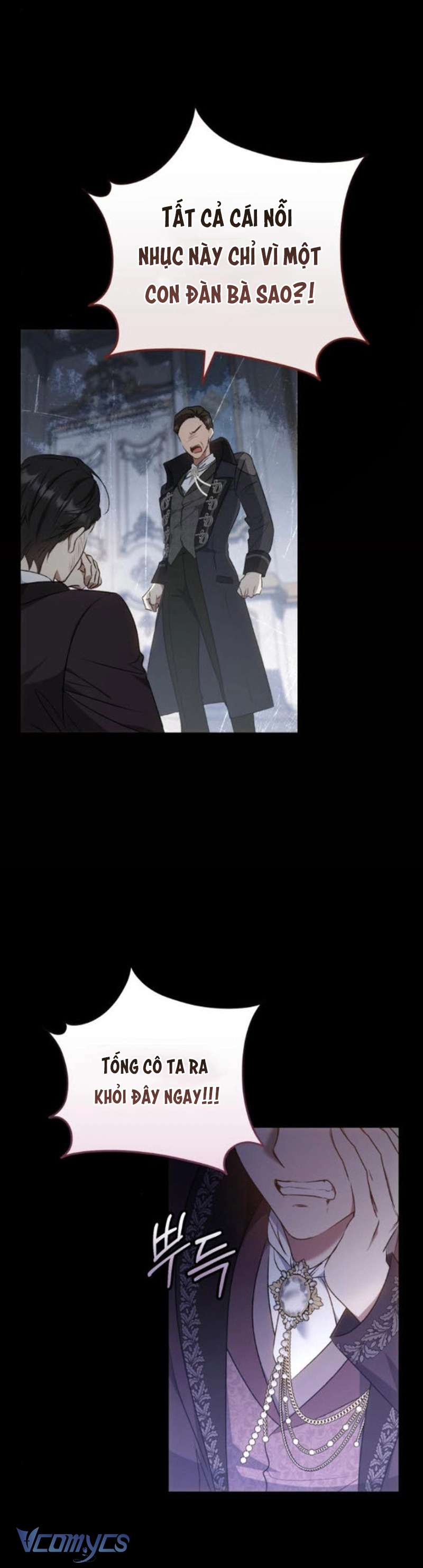 Tôi Bị Giật Chồng Những Hai Lần Chap 9 - Trang 2