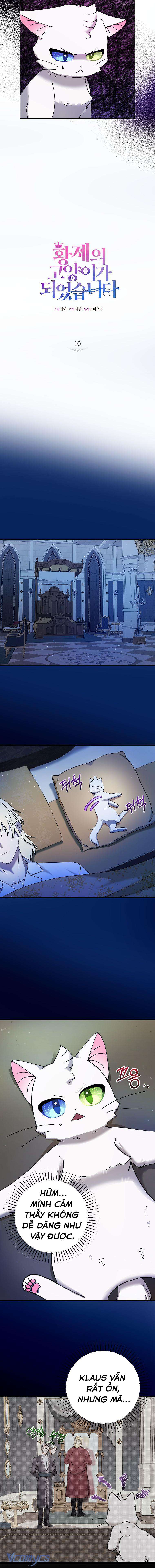 Trở Thành Miêu Nữ Của Hoàng Đế Chapter 10 - Trang 4