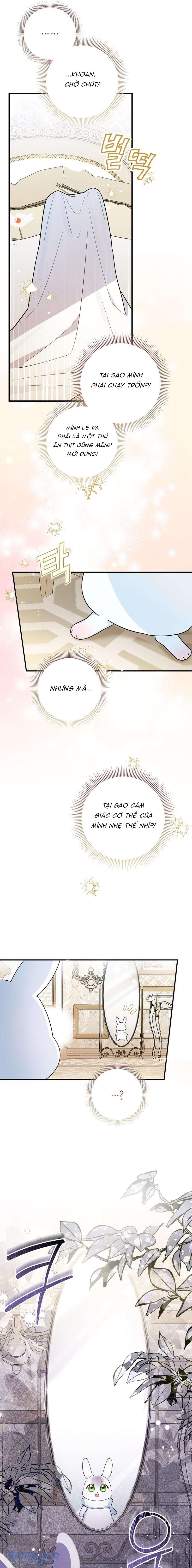 Thỏ Á? Rõ Ràng Là Mãnh Thú Cơ Mà! Chap 1 - Trang 3