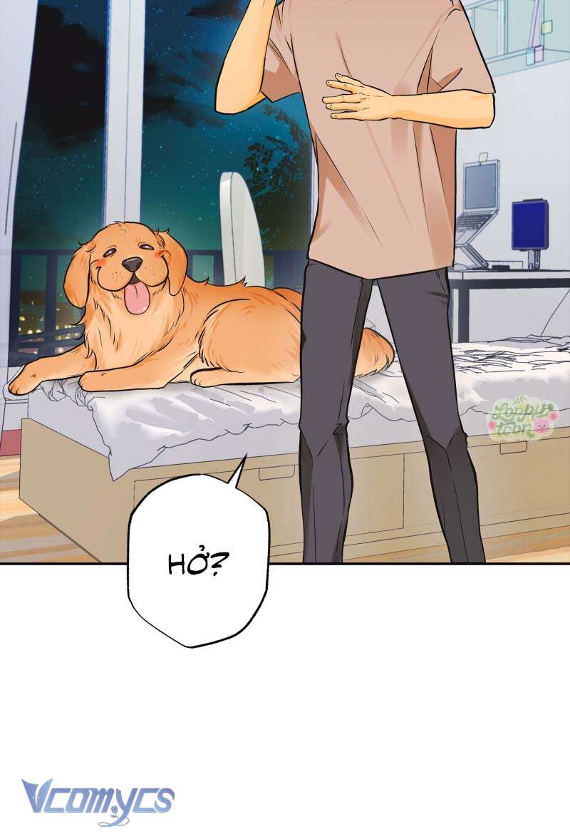 Golden Hour Chap 3 - Trang 2