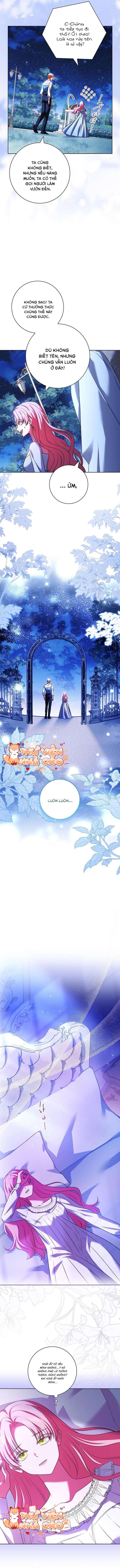 Hãy Để Luật Sư Chuyên Nghiệp Lo Chuyện Ly Hôn Chap 11 - Trang 2