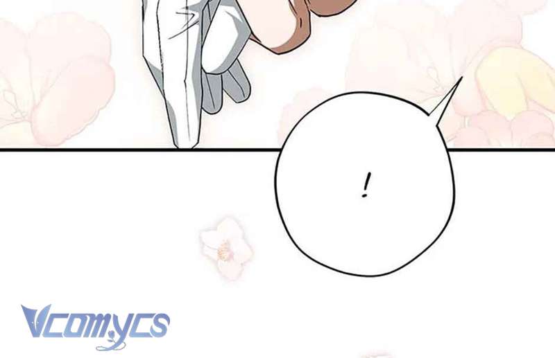 Các Nam Chính Đã Bị Nữ Phụ Cướp Mất Chap 40 - Trang 3