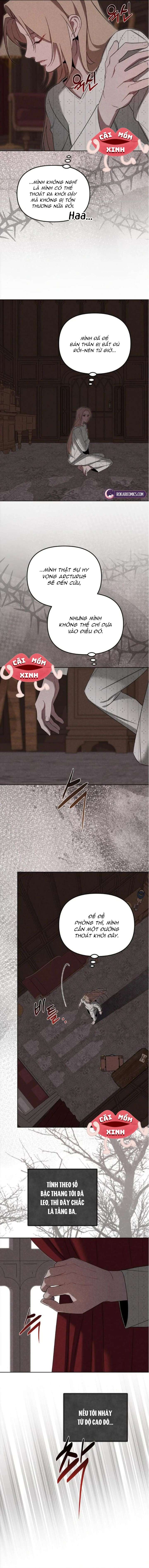 Nơi Đóa Hồng Vàng Úa Tàn Chap 20 - Next 