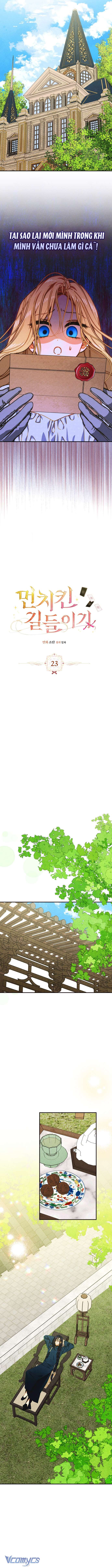 Thuần Hóa Munchkin Chap 23 - Trang 4