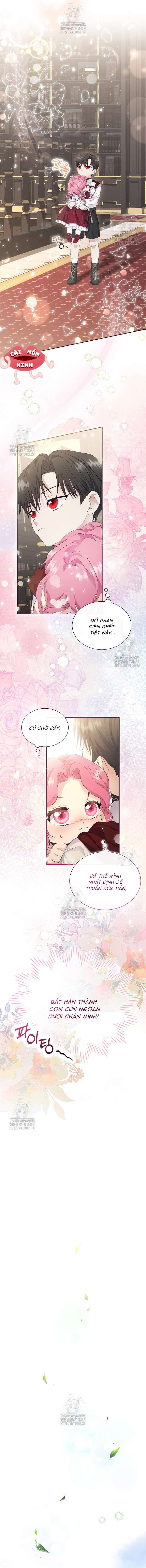 Khi Bị Nam Chính Dịu Dàng Nhưng Cố Chấp Ám Ảnh Chap 2 - Trang 3