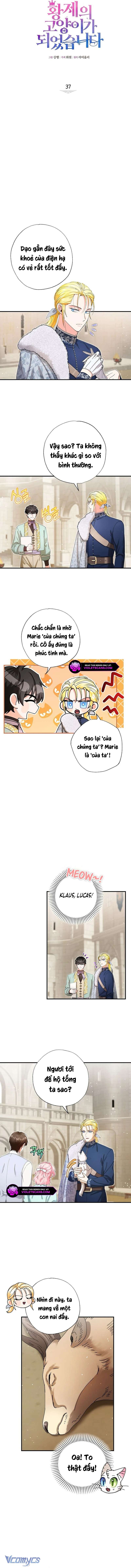 Trở Thành Miêu Nữ Của Hoàng Đế Chap 37 - Trang 4