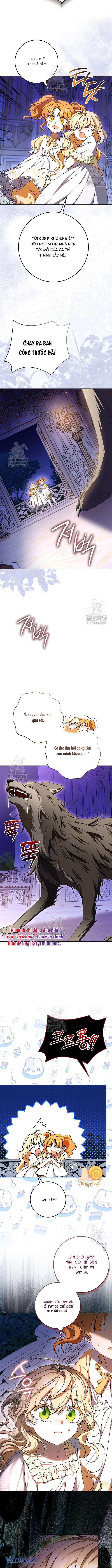Nàng Chim Được Dinh Thự Sói Yêu Thương Chap 51 - Trang 2