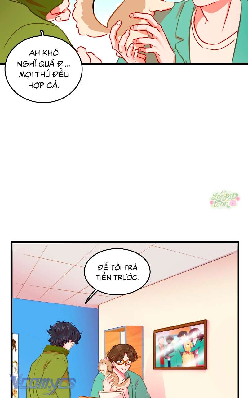 Chú Cún Dạo Bước Cùng Anh Chap 7 - Trang 2