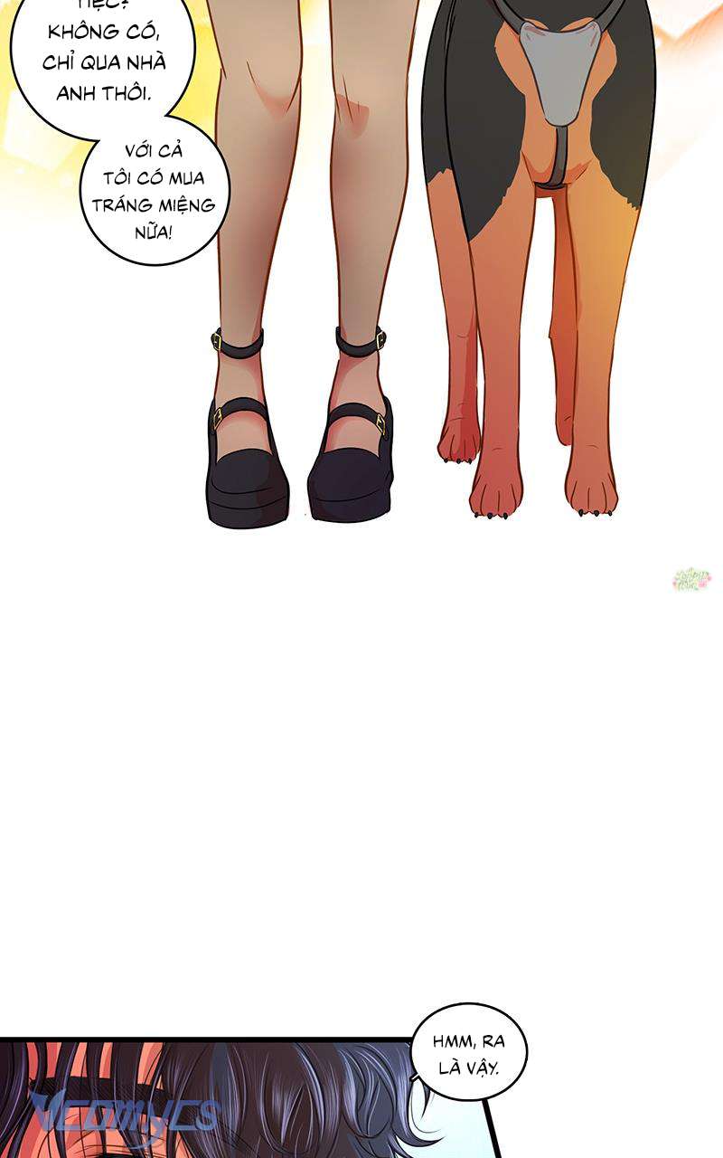 Chú Cún Dạo Bước Cùng Anh Chap 10 - Trang 2