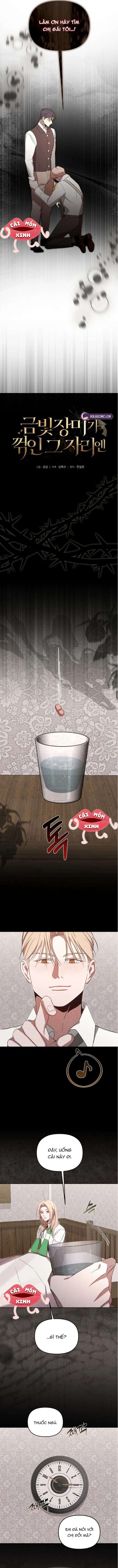 Nơi Đóa Hồng Vàng Úa Tàn Chap 19 - Next 