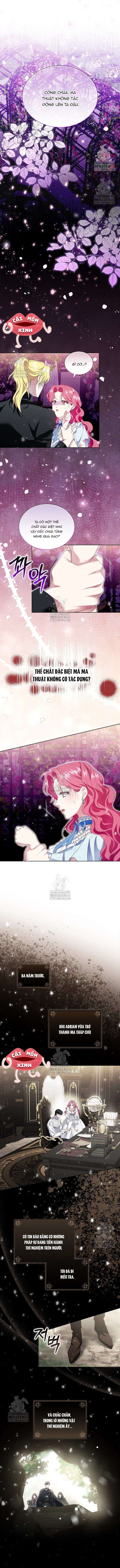 Khi Bị Nam Chính Dịu Dàng Nhưng Cố Chấp Ám Ảnh Chap 17 - Trang 2