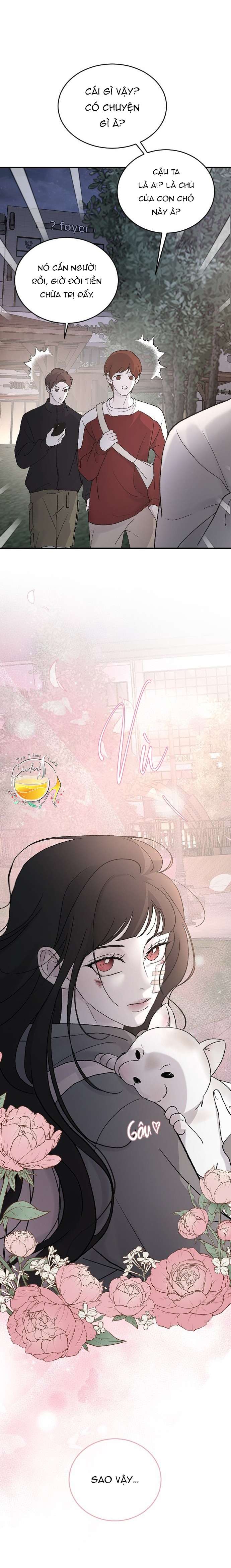 Ba Anh Trai Cực Phẩm Của Tôi Chap 99 - Trang 3