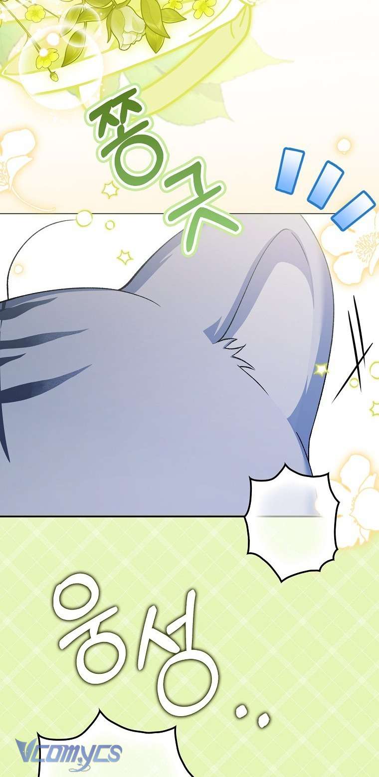 Công Chúa Bạch Hổ Không Có Nguy Hiểm Nha! Chap 3 - Trang 2