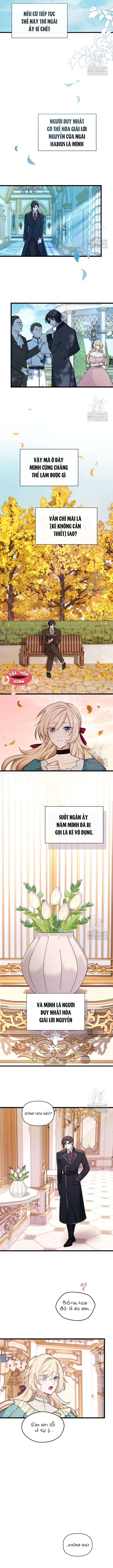 Bệ Hạ, Xin Hãy Quên Tôi Đi Chap 2 - Next Chap 3