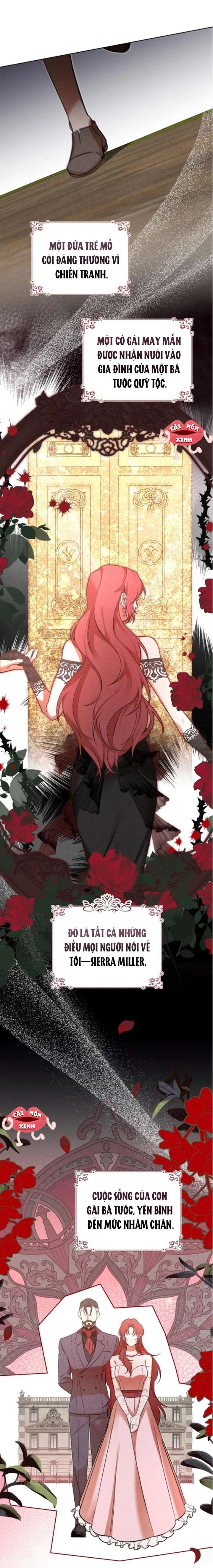 Nơi Đóa Hồng Vàng Úa Tàn Chap 12 - Trang 2