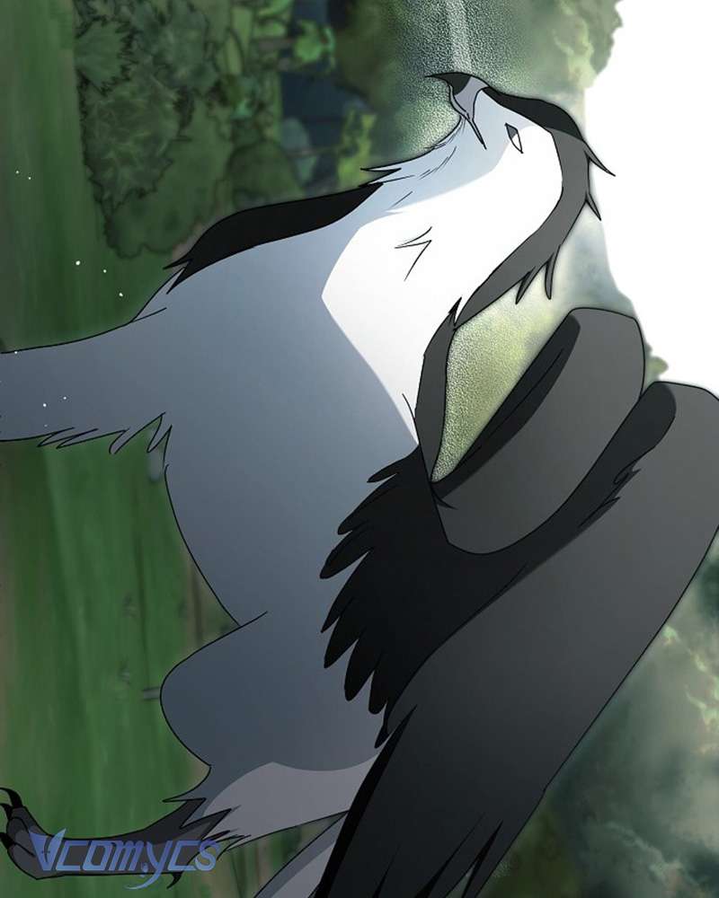 Các Nam Chính Đã Bị Nữ Phụ Cướp Mất Chap 60 - Trang 3