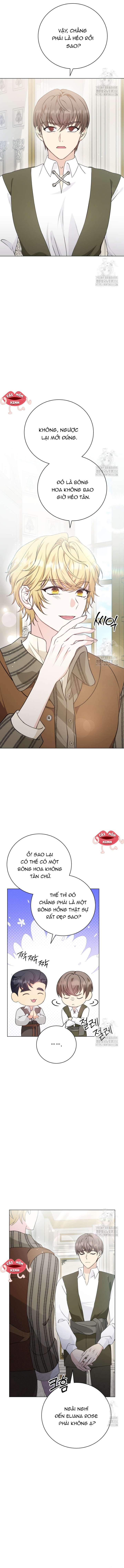 Khi Người Mẹ Kế Tham Vọng Làm Bá Chủ Hậu Cung Chap 22 - Trang 4