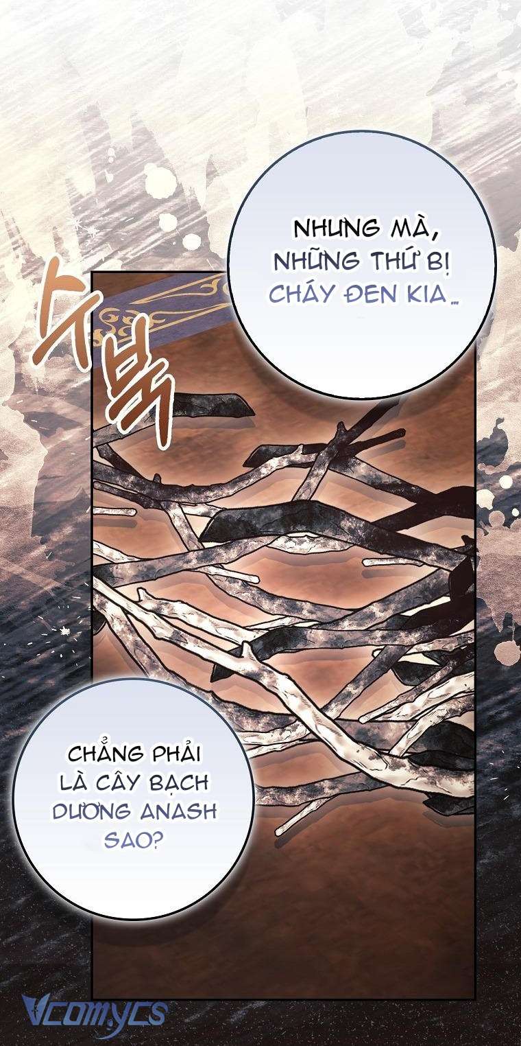Công Chúa Bạch Hổ Không Có Nguy Hiểm Nha! Chap 12 - Trang 2