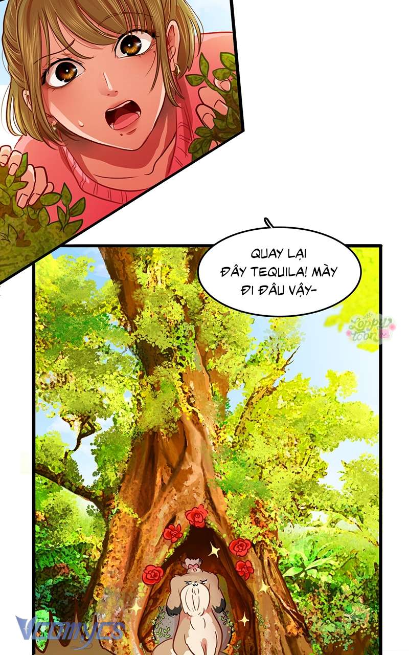 Chú Cún Dạo Bước Cùng Anh Chap 8 - Trang 2