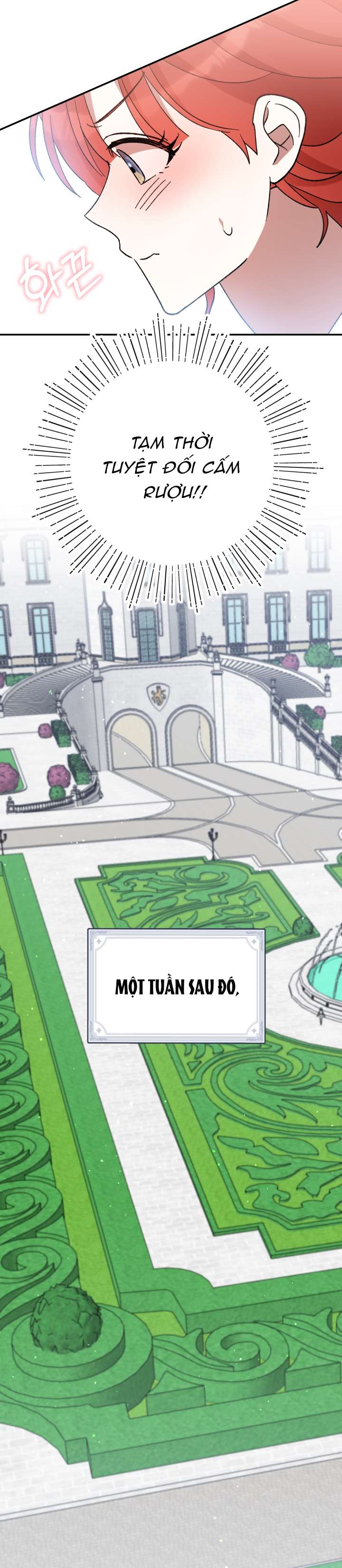 Tôi Đã Vô Tình Quyến Rũ Em Trai Của Nam Chính Chap 46 - Trang 2