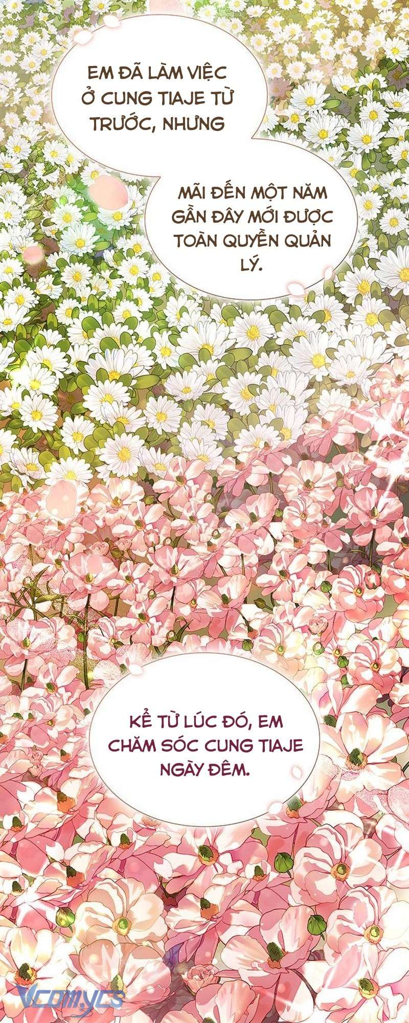 Cứ Cố Gắng Hết Sức Để Hối Hận Chapter 26 - Next Chap 27