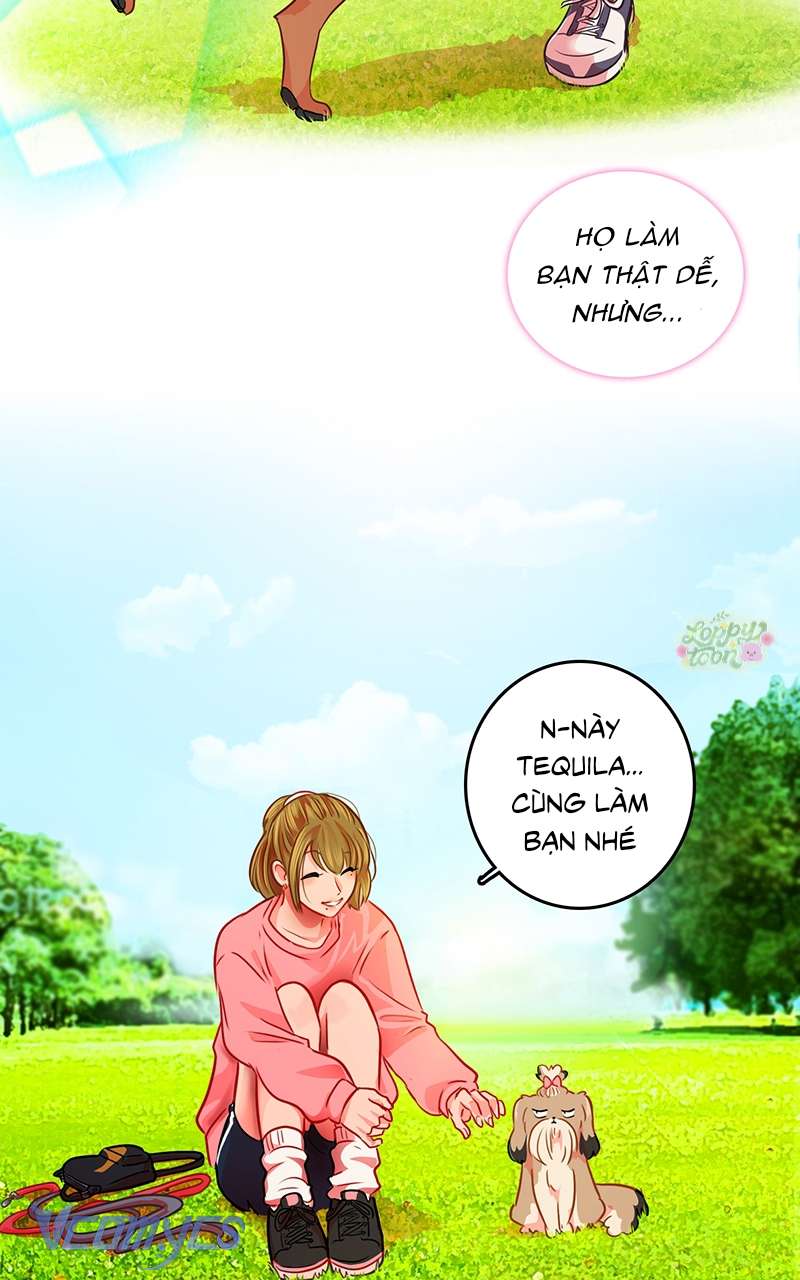 Chú Cún Dạo Bước Cùng Anh Chap 8 - Trang 2