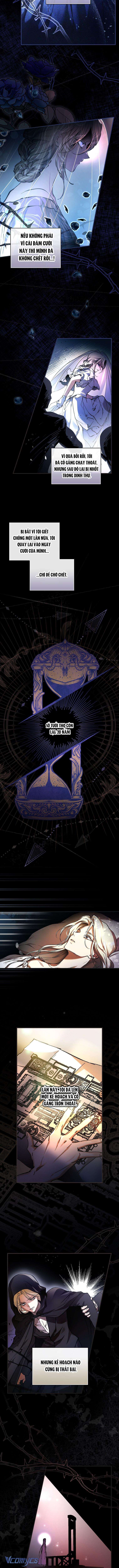 Tìm Một Người Chồng Mới Chap 1 - Trang 2