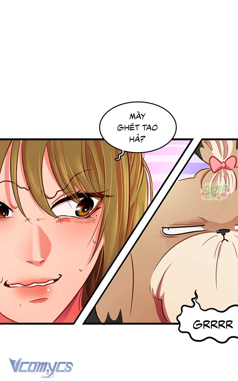 Chú Cún Dạo Bước Cùng Anh Chap 8 - Trang 2