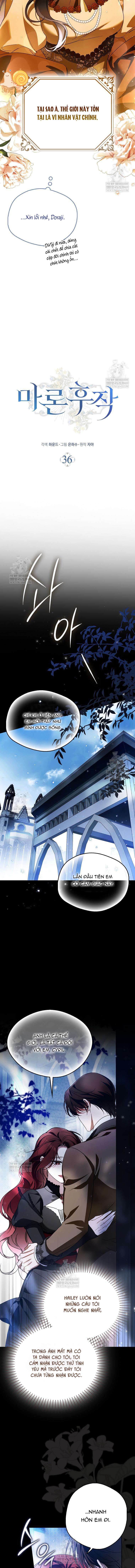 Hầu Tước Marron Chap 36 - Trang 2