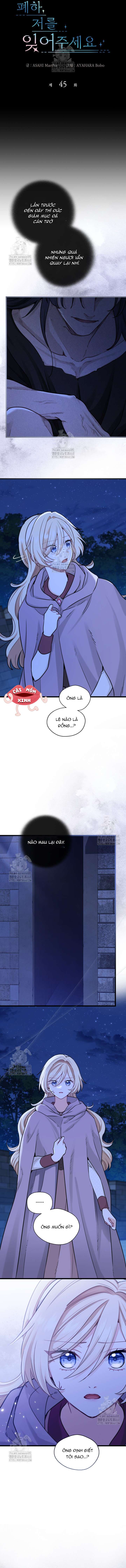 Bệ Hạ, Xin Hãy Quên Tôi Đi Chap 45 - Trang 2